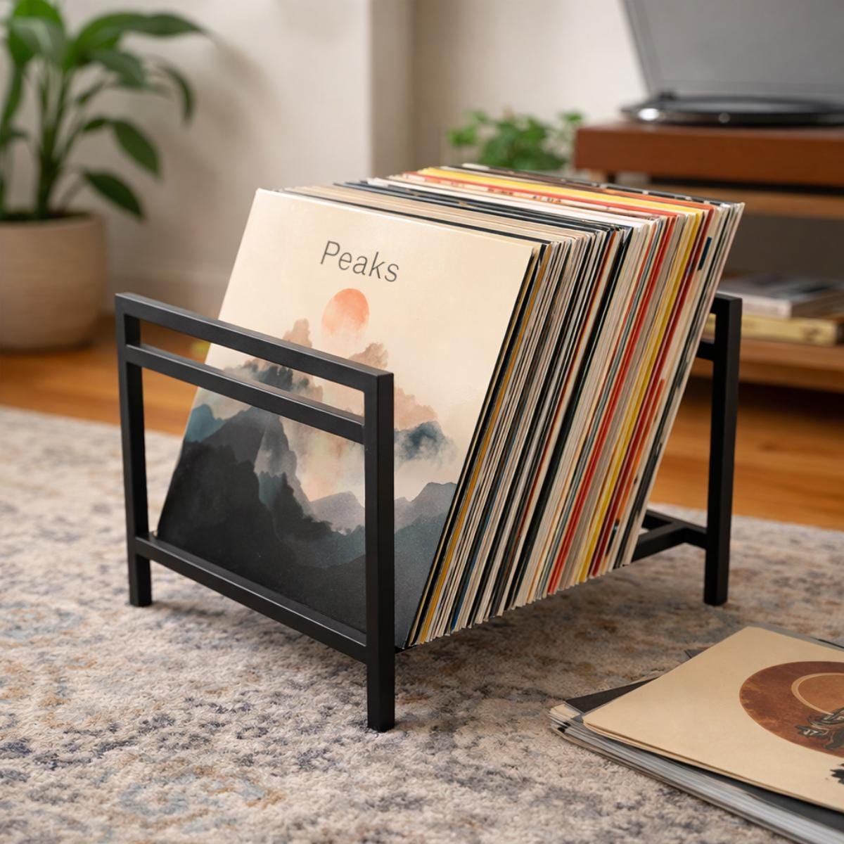 LP storage rack metal vinyl record holder for home use