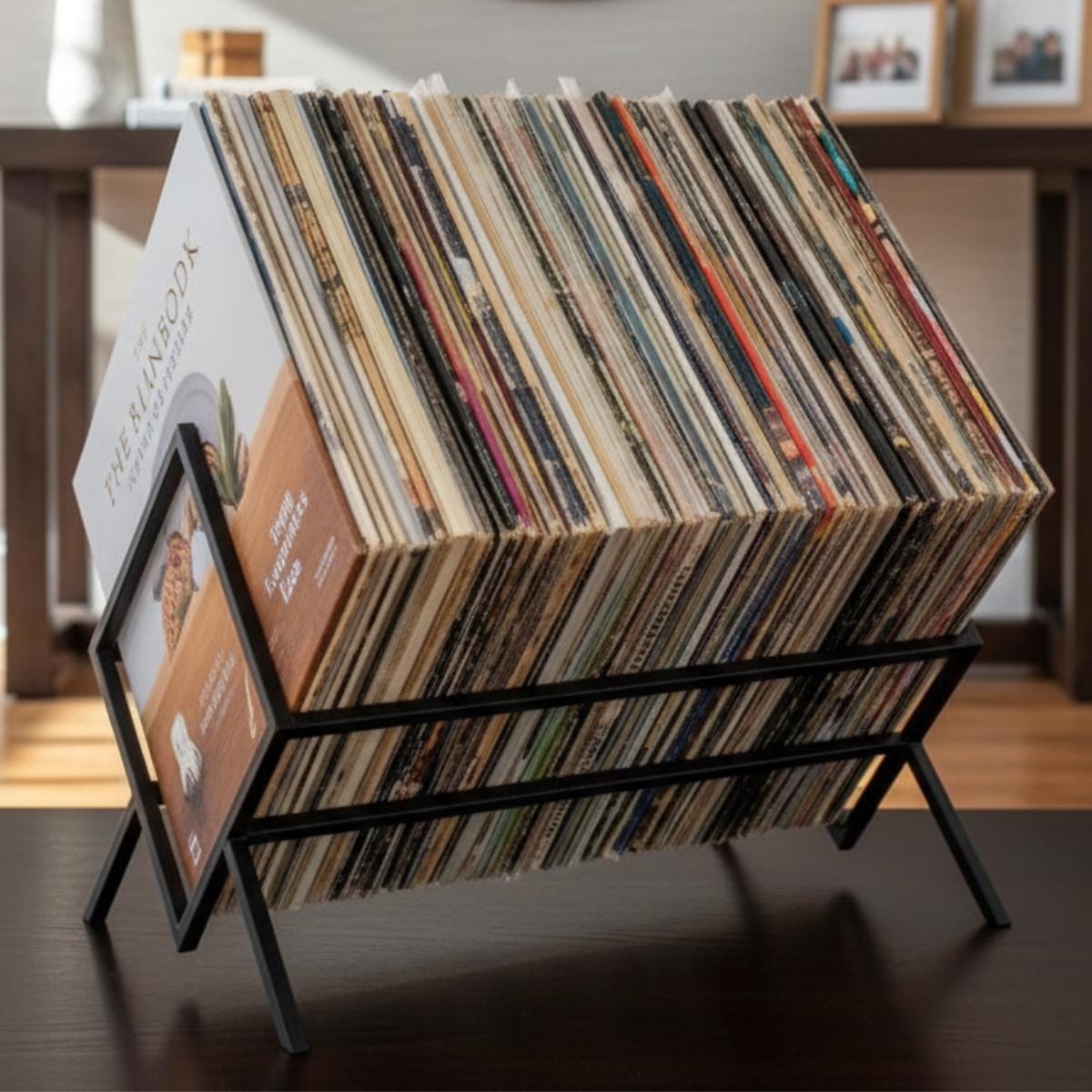 Record holder metal frame vinyl storage rack used in home interior