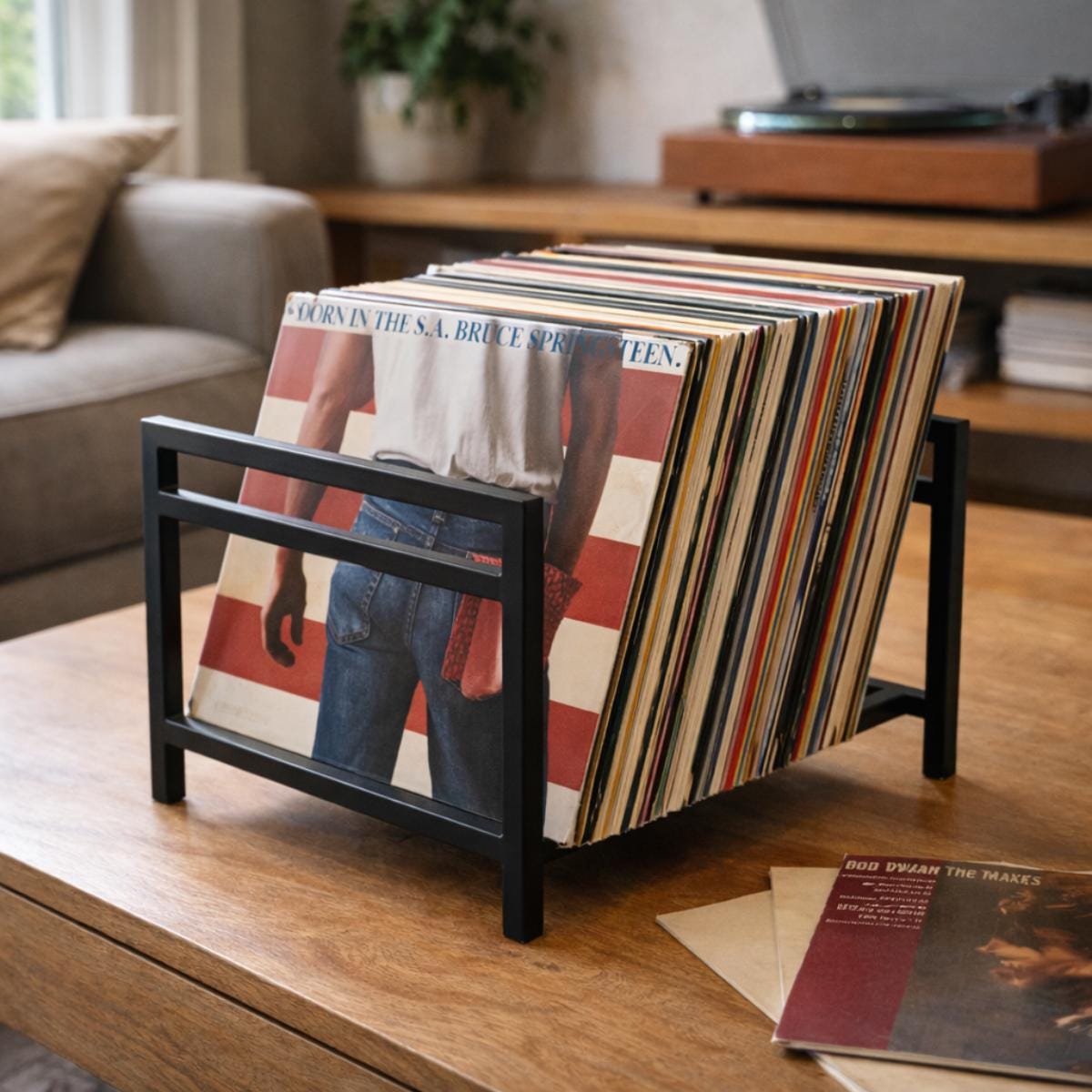 Vinyl record organizer rack metal LP holder for home storage